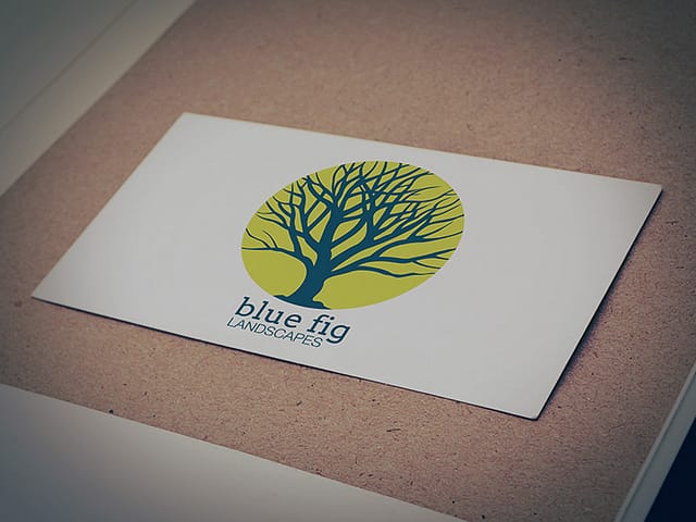 Blue Fig Logo Design