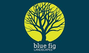 Blue Fig Logo Design