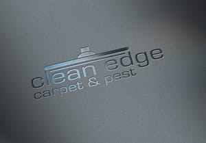 Clean Edge Logo Design