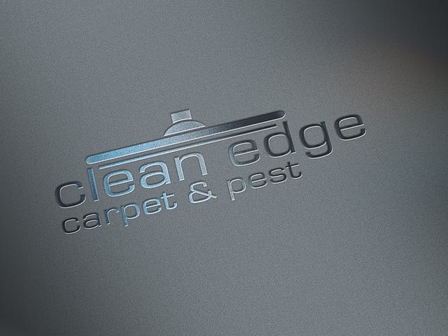 Clean Edge Logo Design